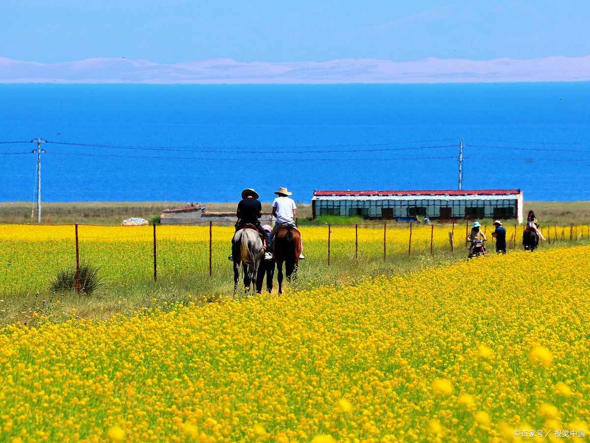 茶卡盐湖景区在哪里
